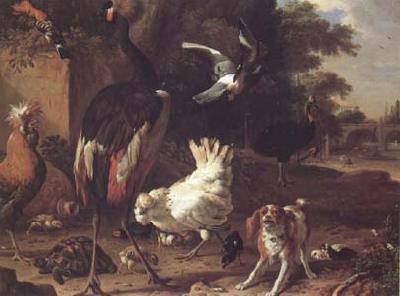 Melchior de Hondecoeter Birds and a Spaniel in a Garden (mk25) China oil painting art